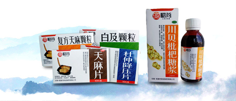 企業(yè)介紹