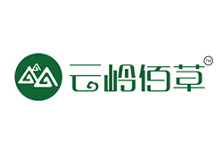 云嶺百草