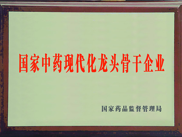 國家中藥現(xiàn)代化龍頭骨干企業(yè)